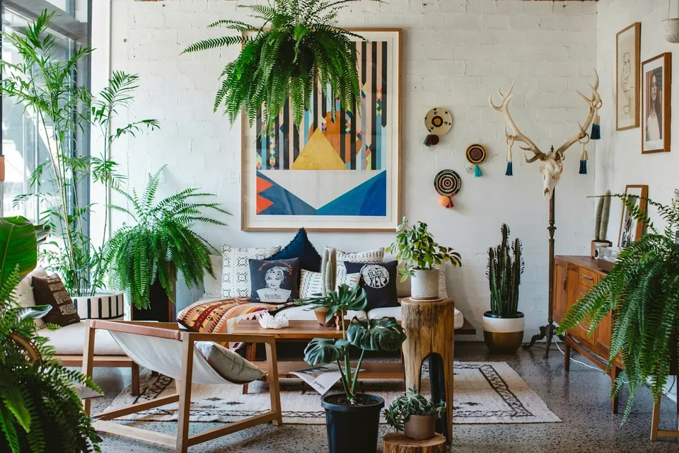 Bright bohemian living room filled with ferns and potted plants, wooden furniture, patterned cushions and wall art.